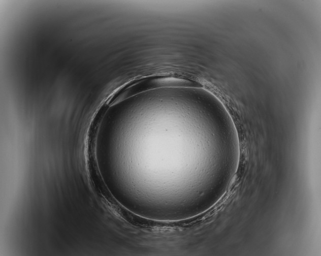 X0000087690242200705111326