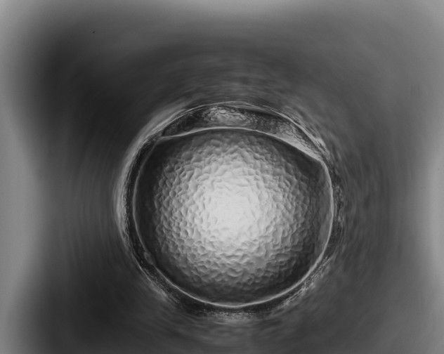 X0000087690245200705111326