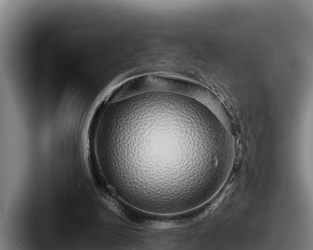 X0000087690246200705111326