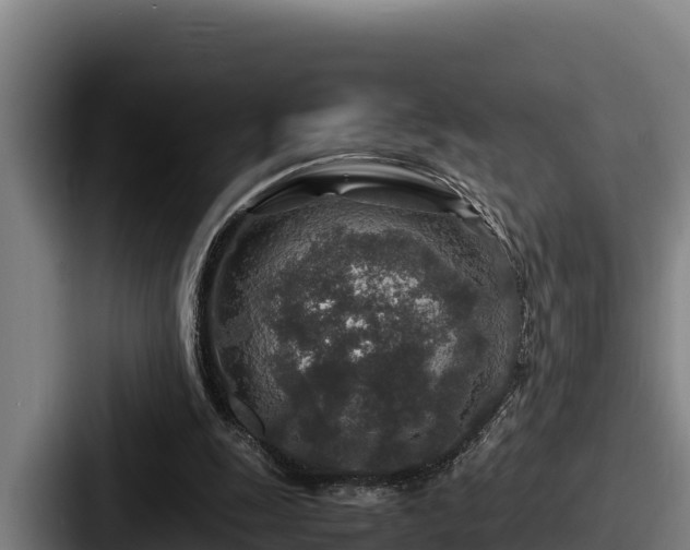 X0000087690247200705111326