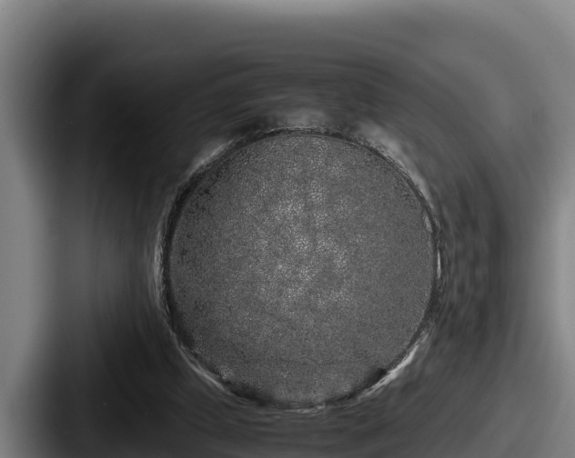 X0000087690249200705111326