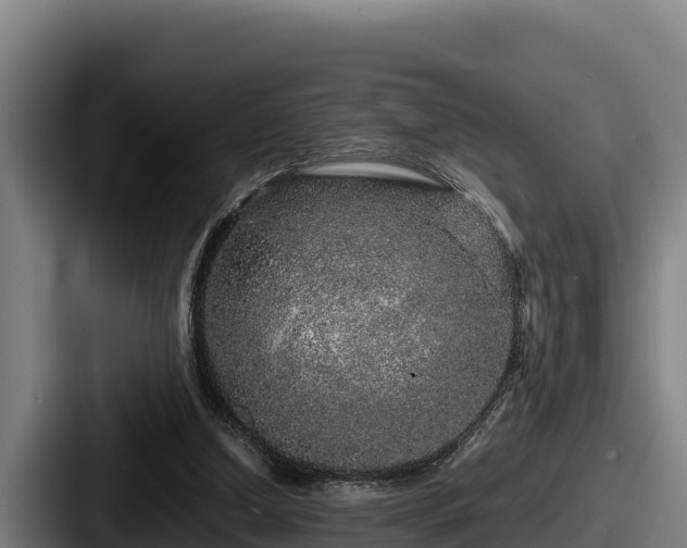 X0000087690250200705111326