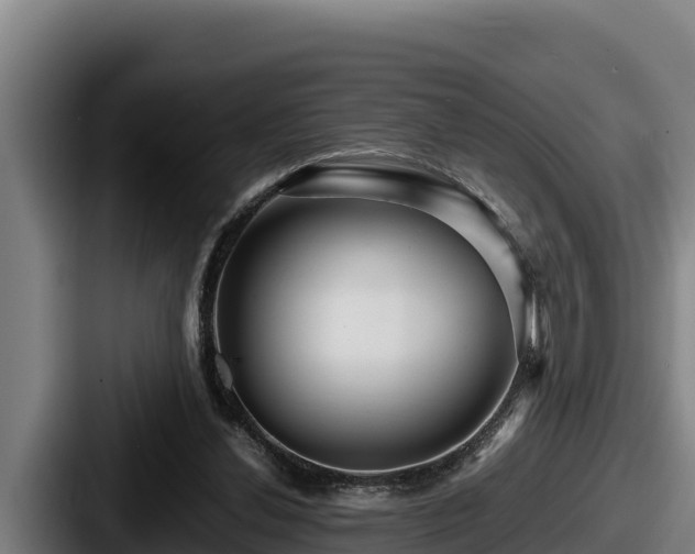 X0000087690252200705111326