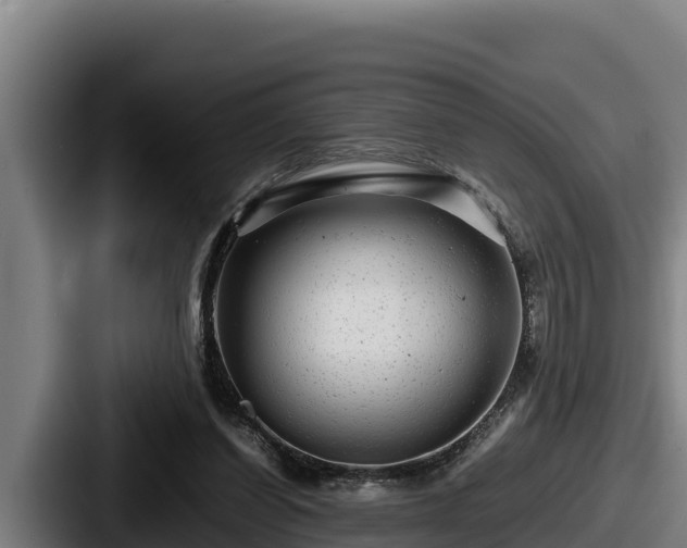 X0000087690254200705111326