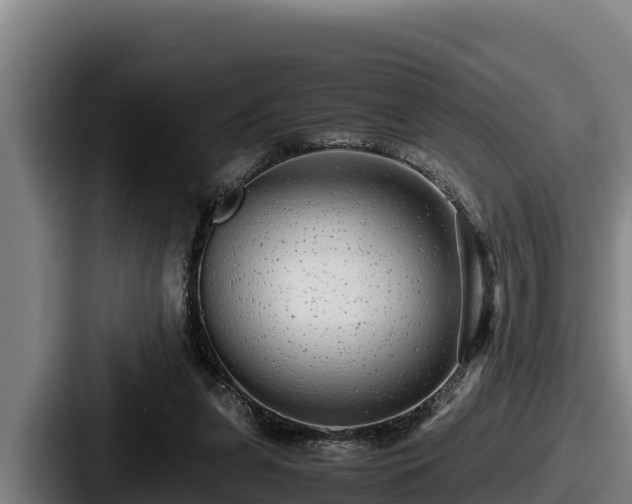 X0000087690255200705111326