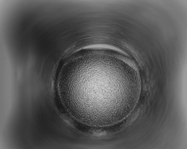 X0000087690258200705111326