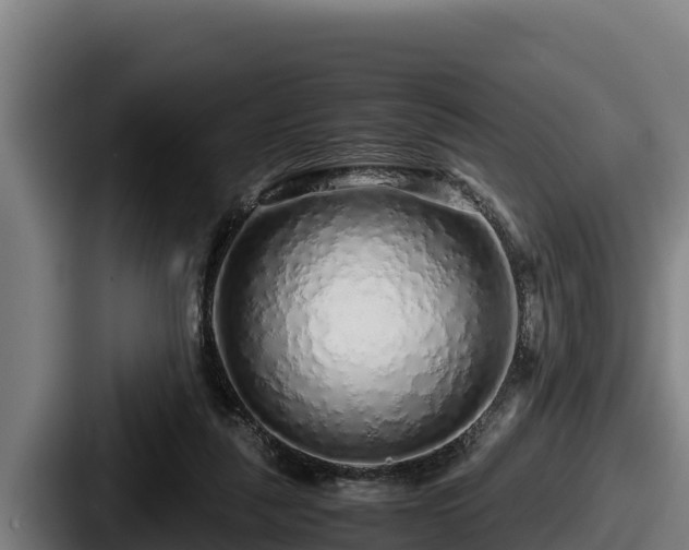 X0000087690259200705111326