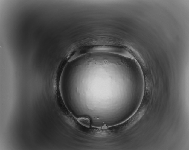 X0000087690261200705111326