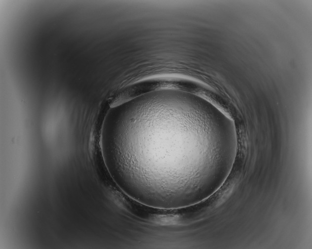 X0000087690266200705111326