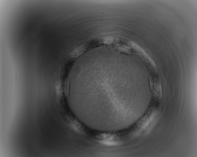 X0000087690272200705111326