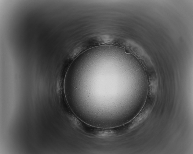 X0000087690274200705111326