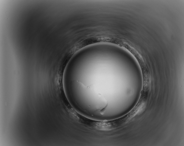 X0000087690281200705111327
