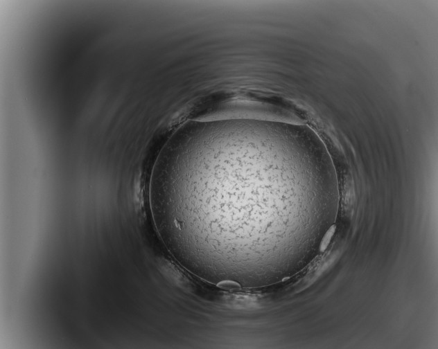 X0000087690282200705111327