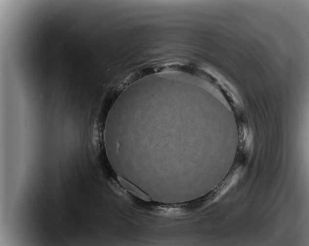 X0000087690284200705111327