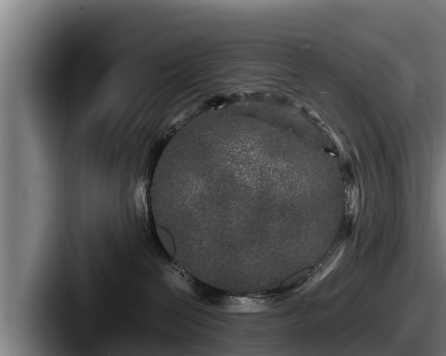 X0000087690286200705111327