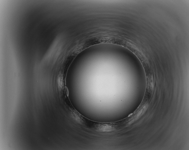 X0000087690287200705111327