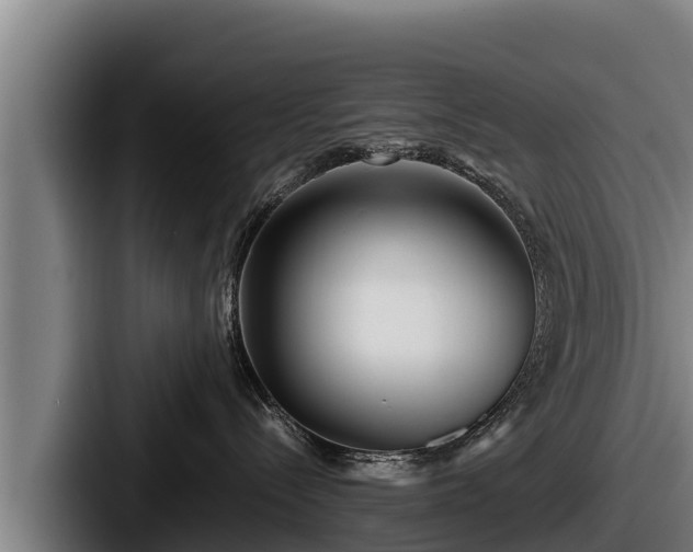 X0000087690288200705111327