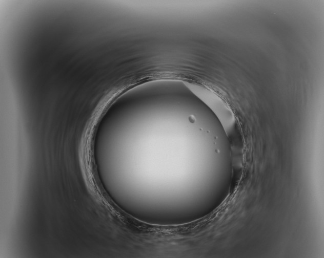 X0000087690289200705111326