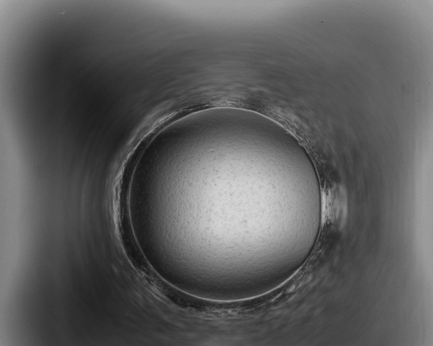 X0000087690291200705111326