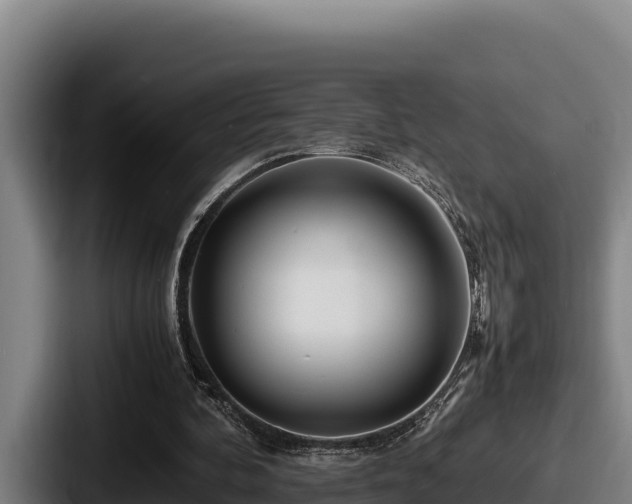 X0000087690292200705111326
