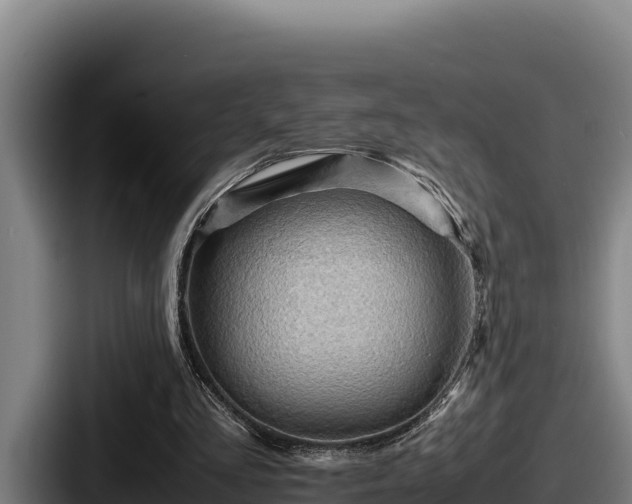 X0000087690293200705111326