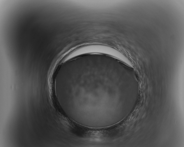 X0000087690295200705111326