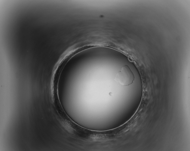 X0000087690296200705111326
