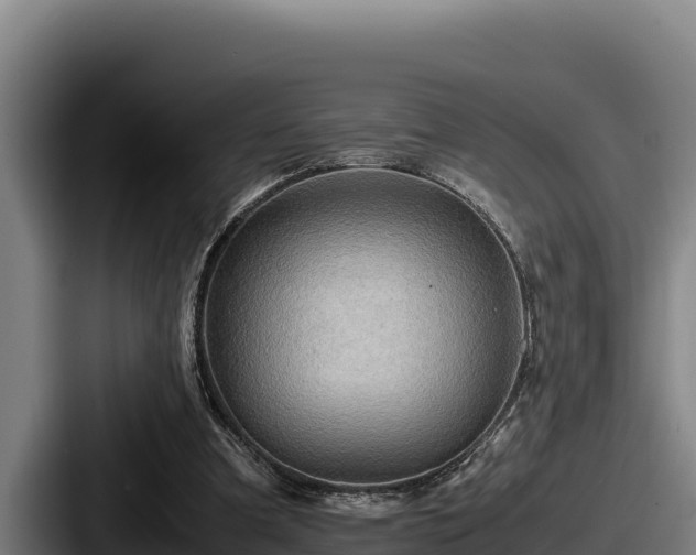 X0000087690297200705111326