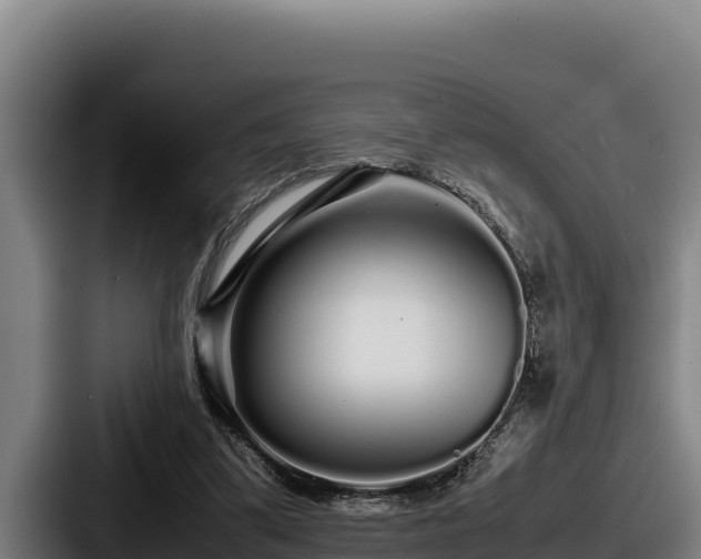 X0000087690299200705111326