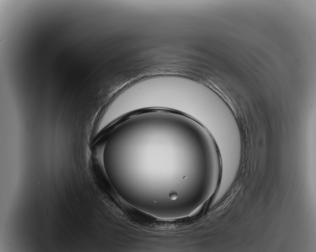 X0000087690301200705111326