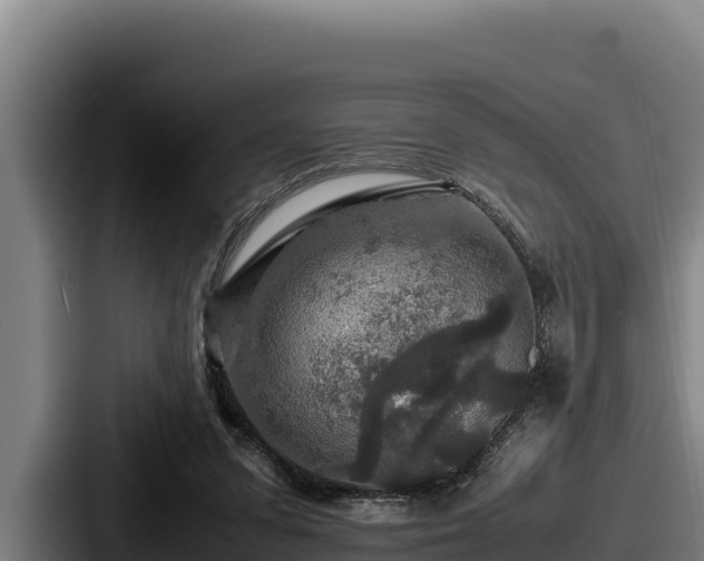 X0000087690303200705111326