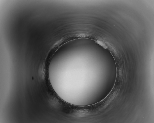 X0000087690304200705111326