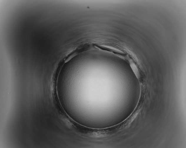 X0000087690305200705111326