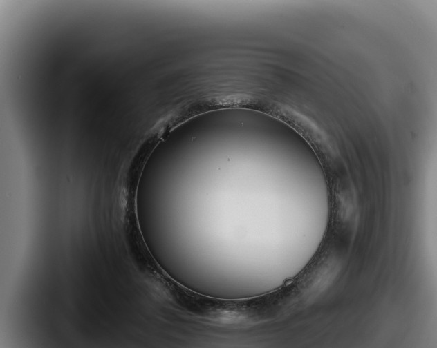 X0000087690308200705111326