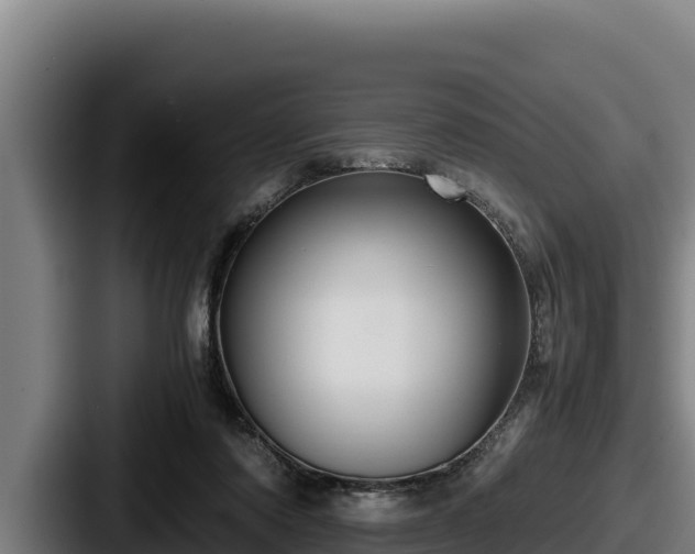 X0000087690310200705111326