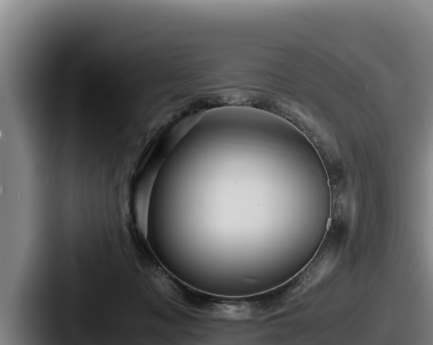 X0000087690317200705111326