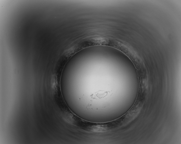 X0000087690320200705111326