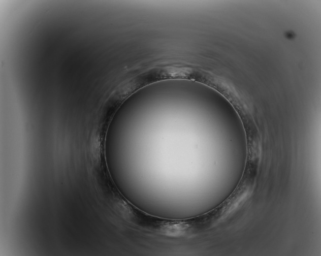 X0000087690321200705111326
