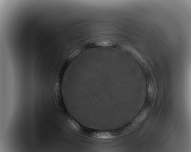 X0000087690322200705111326