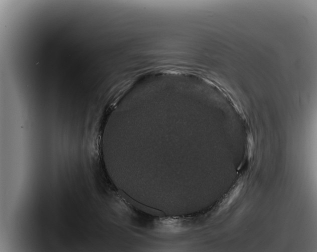 X0000087690325200705111326