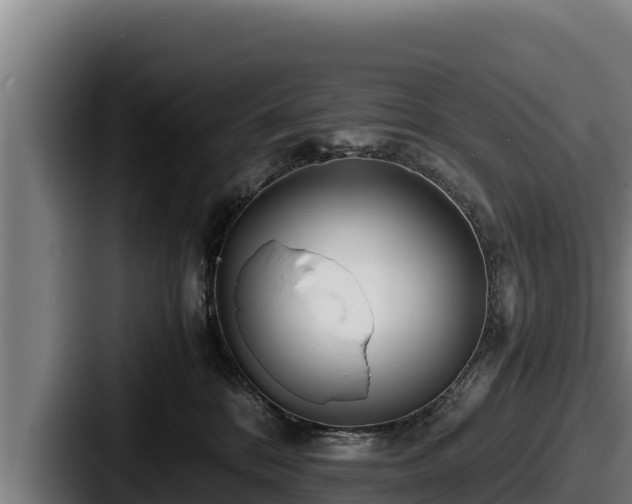 X0000087690328200705111325