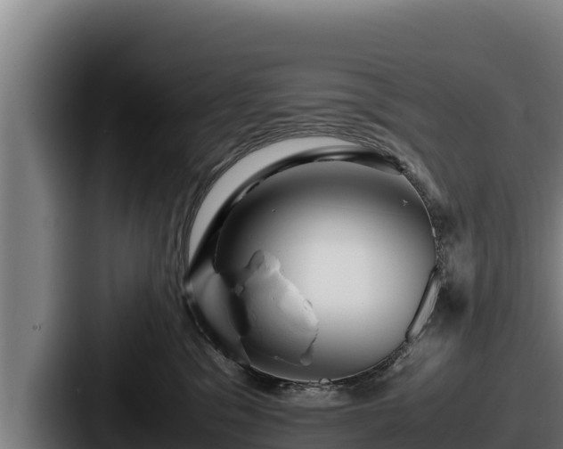 X0000087690329200705111325