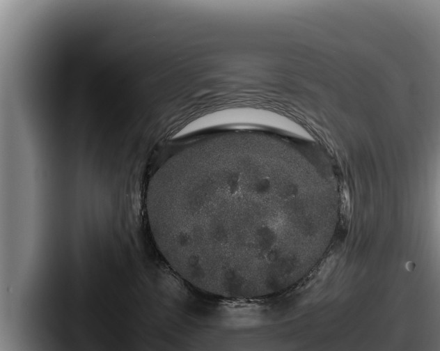 X0000087690331200705111325