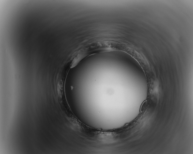 X0000087690332200705111325