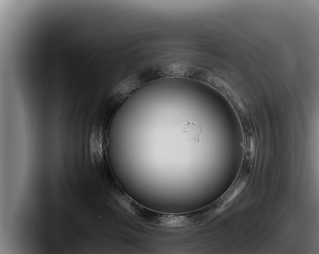 X0000087690334200705111325