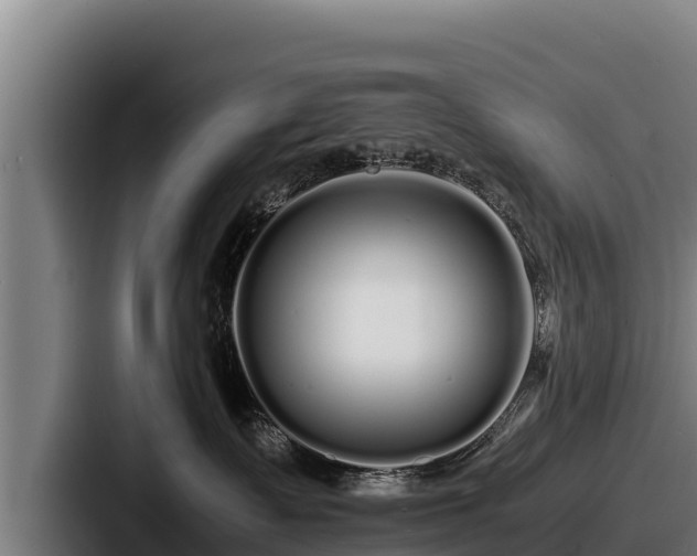 X0000087690335200705111325
