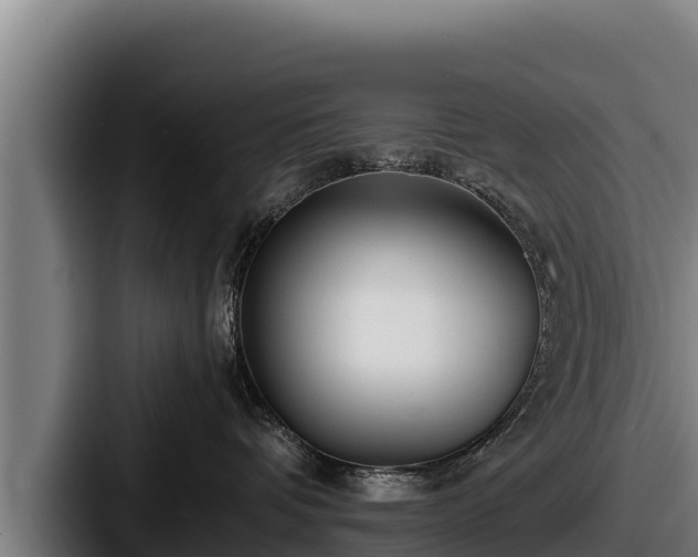 X0000087690336200705111325