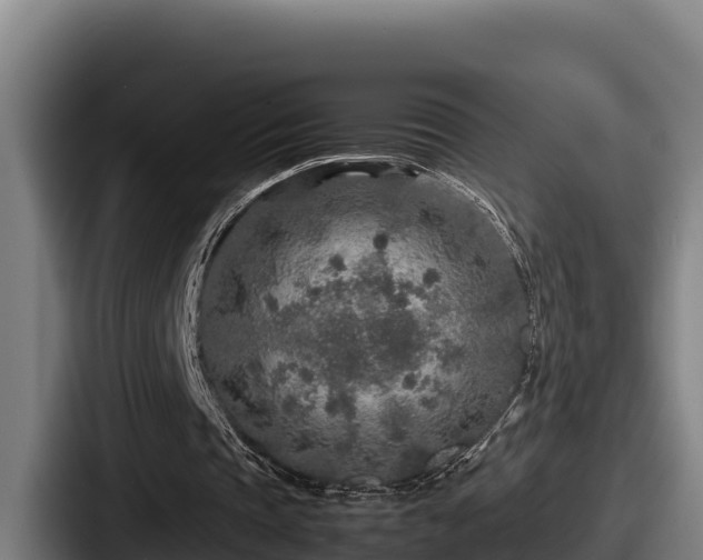 X0000087690337200705111325