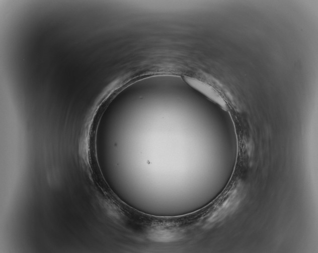 X0000087690340200705111325