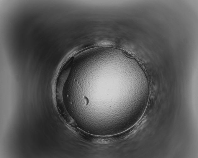 X0000087690341200705111325